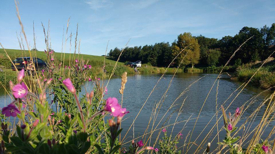 Gallery Mushroom Ponds